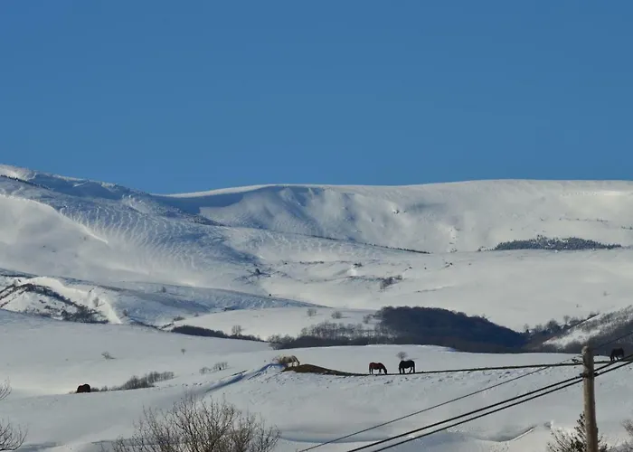 Casucas La Guariza - Casa Susi - * Fontibre